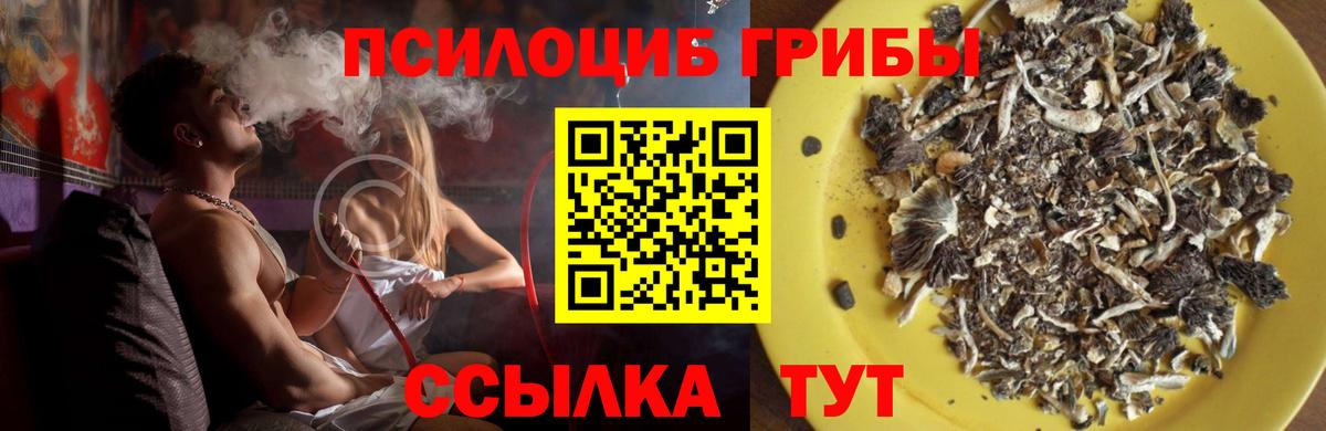 Лесосибирск  Галлюциногенные грибы прущие грибы  где купить наркотик  Вход с VPN  Галлюциногенные грибы GOLDEN TEACHER 